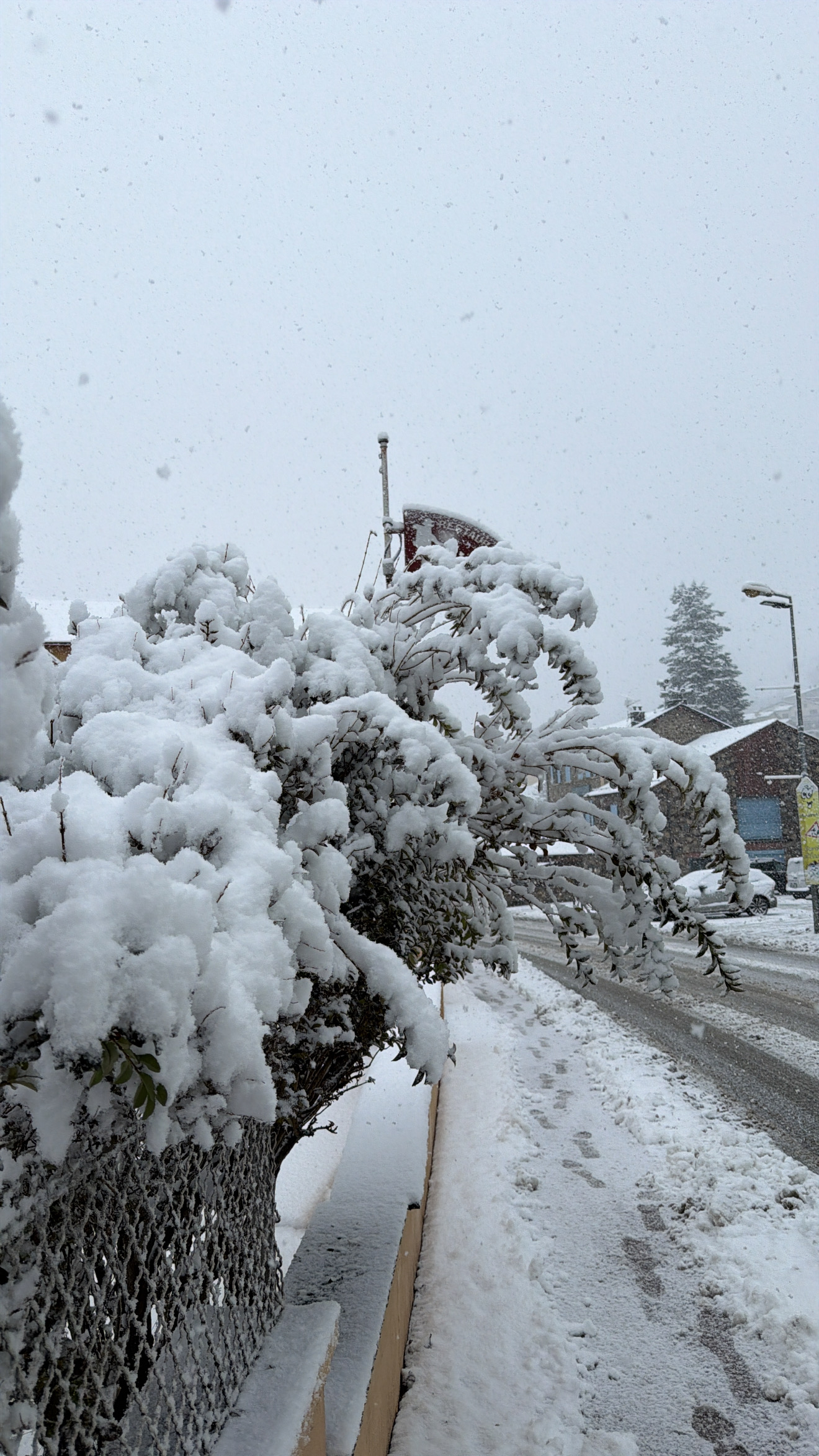Saillagouse sous la neige